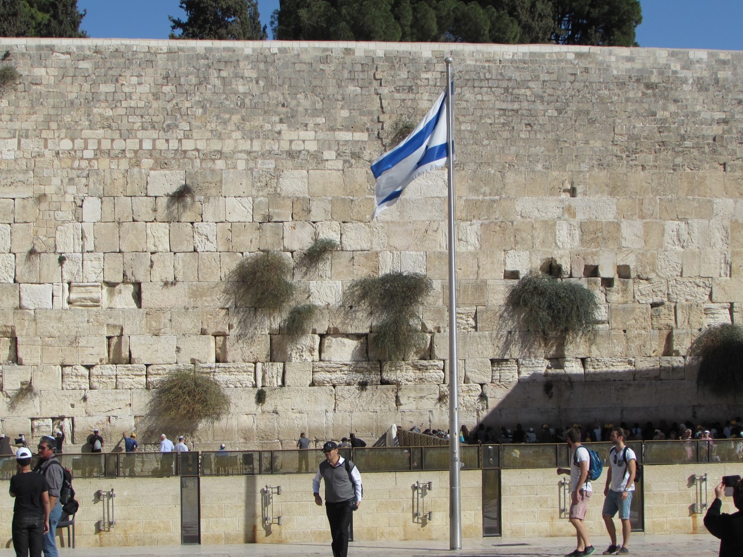 Israel Flag